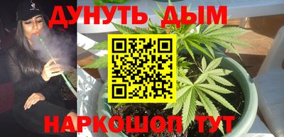 прущие грибы Кингисепп