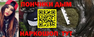 прущие грибы Кингисепп